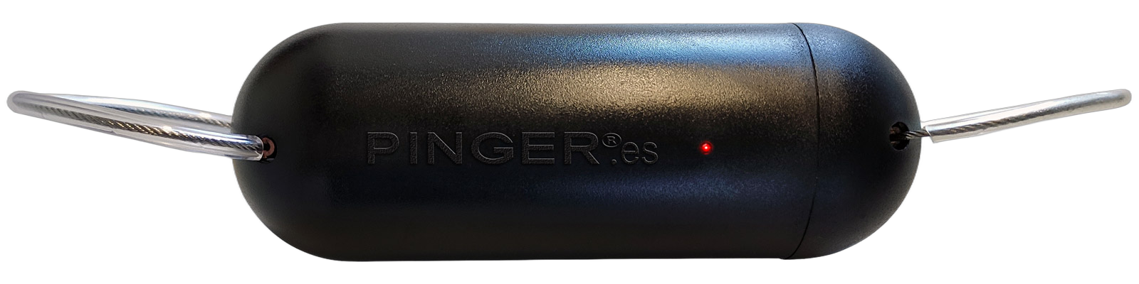 Pinger — programmable acoustic cetacean deterrent
